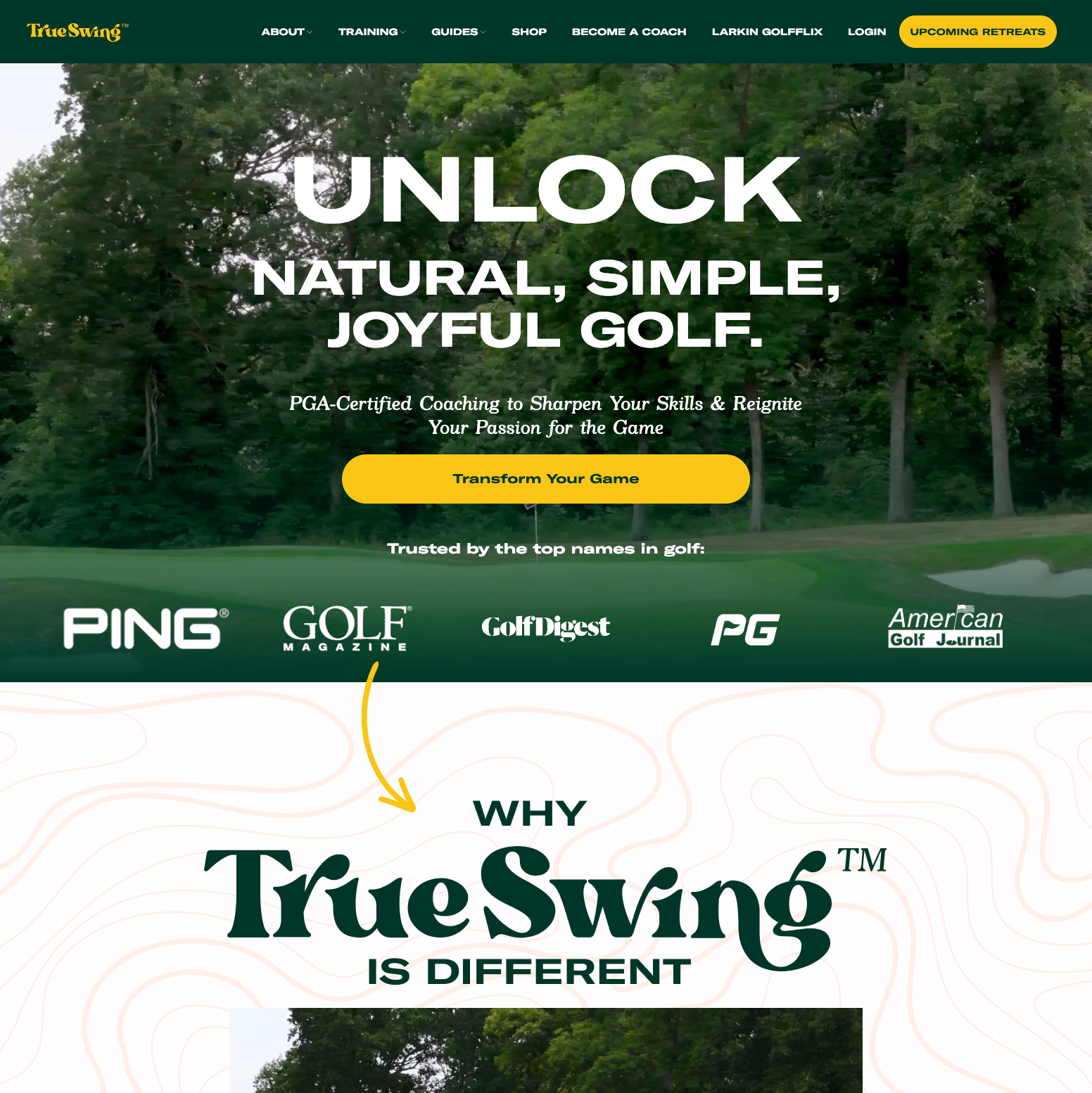 True Swing Website